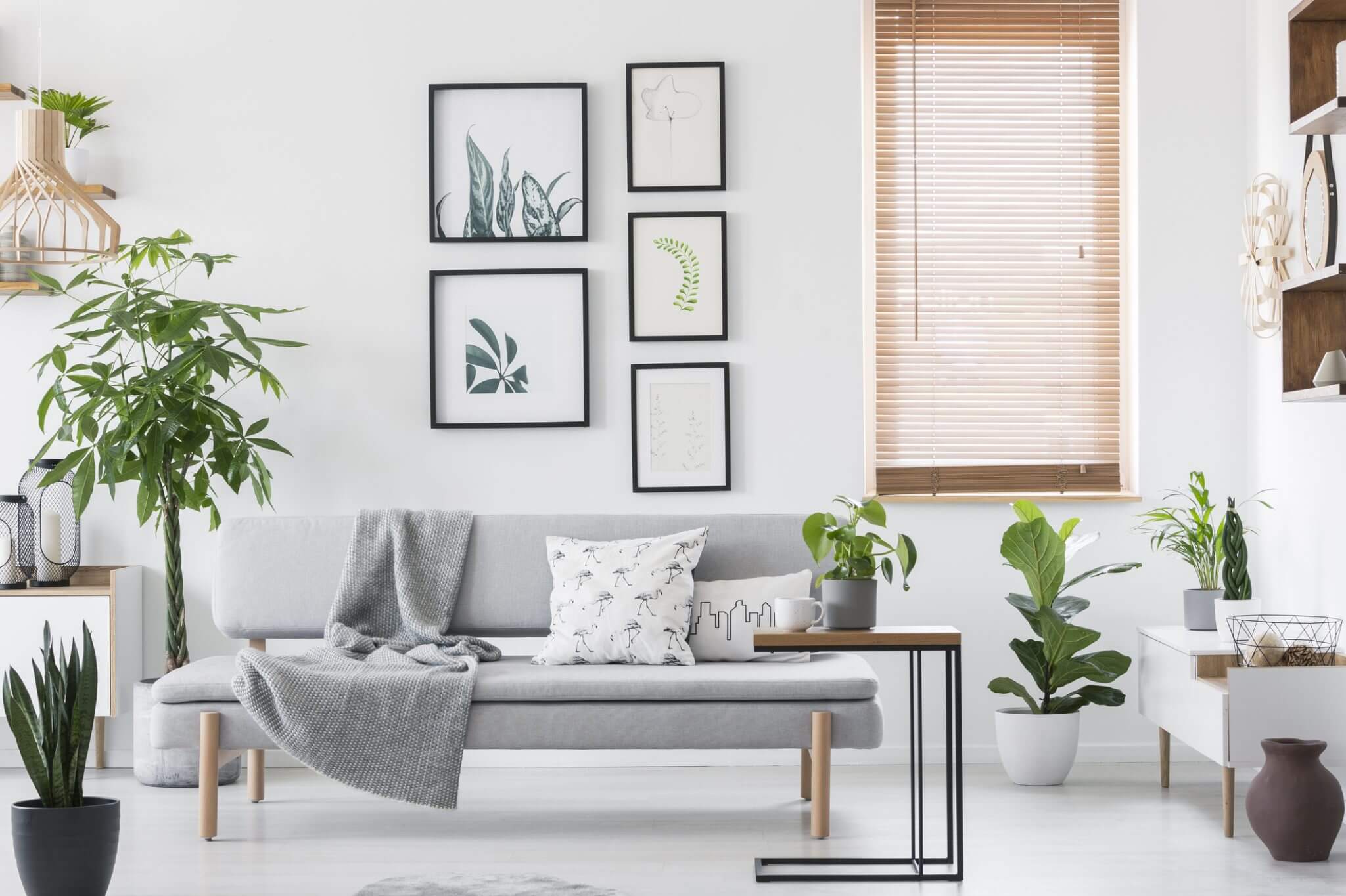 Blinds & Curtains for Bedroom