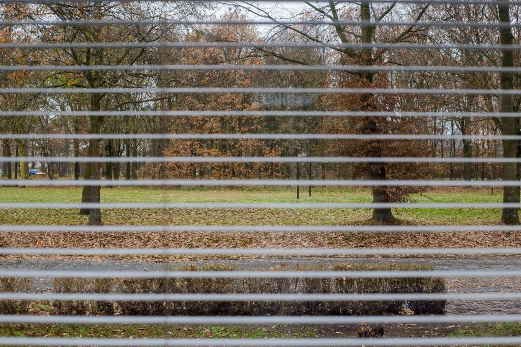 Venetian blinds in winter time.